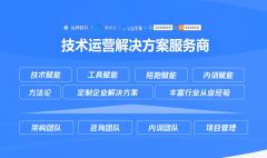 <b>和神数科以“实和落地+全域赋能”为焦点定</b>